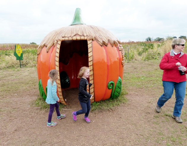 The Pumpkin House